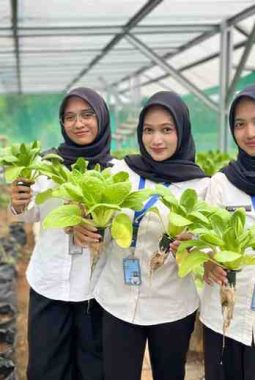 berita-rekomendasi-foto